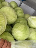 Witam sprzedam kapuste białą przemysłową I market pakowaną w karton box ilości tirowe zainteresowanych zapraszam 
