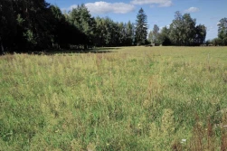 KRIR wnioskuje o derogację norm GAEC 6, 7 i 8 na 2024 r.