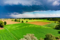 Laserem w chwasty - bezpłatny webinar