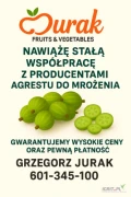 Firma JURAK kupi każdą ilość agrestu do mrożenia. Zapraszamy do współpracy zarówno producentów jak i firmy...