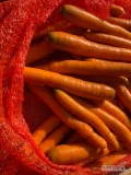 Sprzedam marchew myta i polerowana, kal. 2-4, ładna bez plam po myciu. Worek szyty lub inna forma zapakowania do uzgodnienia. 