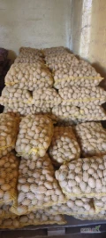 Sprzedam ziemniaki Soraya kaliber 3, 5 -5,5, wielkości sadzeniaka. Więc informacji po numerem telefonu. Cena do negocjacji.