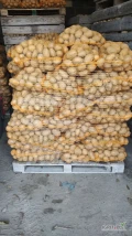 Sprzedam ziemniaki SORAYA . Ziemniak ładny z jasnej ziemi