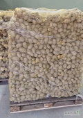 Sprzedam ziemniaki odmiana Lilly kal. 45+, Luzem lub pakowane w worki 15 kg, ilości tirowe.