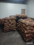 Sprzedam ziemniaki GALA jak 45+ pakowane w worki 15 kg około 3-4 ton