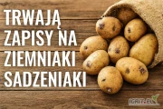 Przyjmujemy zamówienia na sadzeniaki.
