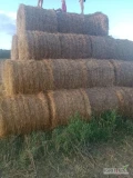 Sprzedam słomę 2024 posiadam około 50 belek 120 cena 100zl