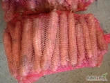Sprzedam marchew brudną worek 10 kg 