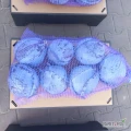 Sprzedam kapustę czerwoną z nalotem, kaliber 1,5 2 3. Więcej informacji pod numerem 510340788
