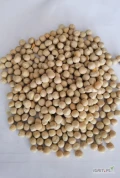Sprzedam 320 ton grochu, wilgotność -14,5%, połamany -8%, odpady -1%. Groch znajduje się w rejonie kowieńskim, w miejscowości...