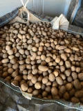 Sprzedam ziemniaki odmiany Soraya, kaliber 3,5-5, okolo 300 ton, luzem, bb lub worek raszlowy szyty 15 lub 20 kg lub wiązany 20 lub 25 kg,...