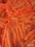 Sprzedam marchew mytą, kal. 2-4, worek zaszywany, ilości paletowe, możliwa f-ra VAT.