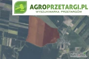 Przetarg na sprzedaż 124,42 ha gruntu rolnego – RII, RIIIa, RIIIb, RIVa, PsIII, W-PsIII, Lzr-RIIIa