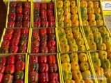 pepper -capsicum   colors -green -yellow - orange - red   length-5-10 cm     