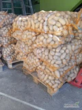 Witam sprzedam ziemniaki odmiana Queen Anna z jasnej ziemi naszykowane 200woreczkow15kg cena do uzgodnienia