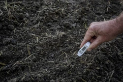 Jak odblokować potencjał plonotwórczy stanowiska pod uprawę kukurydzy?