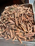 Witam sprzedam marchew odpadową brudną prosto z pola każde ilości. Cena przy dużych ilościach 0.3zł/kg