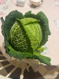 Witam zakupie kapuste włoską od 1 -3 kg w karton bok towar marketowy zainteresowanych zapraszam 