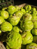 Sprzedam kalarepe na wage odmiana Kossak. Ilość oraz opakowanie do uzgodnienia kaliber 1-4kg 