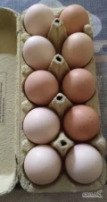 Witam,mam na sprzedaż jaja wiejskie od kur.