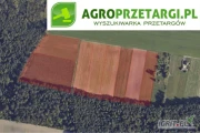 Przetarg na dzierżawę 11,36 ha gruntu rolnego na 3 lata – R, Ł