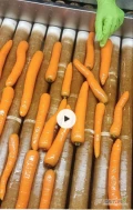 Sprzedam marchew mytą kopaną pod zamówienie kal. 2-4.5 oraz 4+ ilości paletowe worek szyty