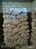 Sprzedam ziemniaki jadalne Catania obecnie gotowe 8 palet po 70 worków cena 16 zł worek więcej informacji pod nr tel 604145182