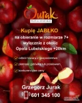 Kupię jablko z przeznaczeniem do obierania. Wyłącznie Okolice Opola Lubelskiego, Jozefowanad Wisłą. 601-345-100 