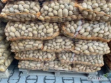 Sprzedam ziemniaki Queen Anne w kalibrażu 50+ pakowane w worek 15kg na palecie. Ładny i zdrowy towar. 
