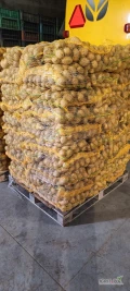 Ziemniaki odmiany Melody, szczotkowane, pakowane w worki raszlowe 15kg. Więcej informacji telefonicznie.