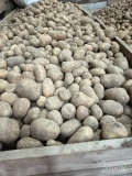 Sprzedam ziemniaki Soraya najlepiej skrzyniopalety,luz cena do uzgodnienia.