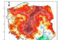 PGW Wody Polskie: mamy intensywną suszę rolniczą