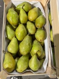 Sprzedam gruszkę KSENIĘ, naszykuję na gotowo w dowolne opakowanie.