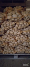 Sprzedam ziemniaki jadalne bellarosa i magnolia. 