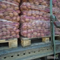 Zakupię ziemniaki jadalne czerwone kal. 55+ , worek 10-15 kg , cena 0,90 zł kg. Interesuje mnie 10-12 ton. Towar z jasnej ziemi zdrowy bez...