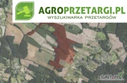Przetarg na dzierżawę 17,39 ha gruntu rolnego na 3 lata – RIIIa, RIIIb, RIVa, RIVb, RV, RVI, ŁIII, ŁIV, PsIV, PsV