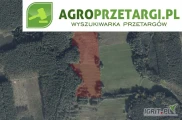 Przetarg na dzierżawę 13,07 ha gruntu rolnego – ŁIV