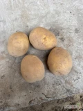 Sprzedam ziemniaki gala kaliber 4,5 