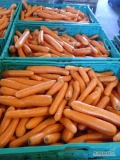 Sprzedam marchew brudna import. Towar do mycia namarkety. 