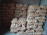 Sprzedam ziemniaki jadalne odmiana Ignacy z jasnej ziemi wybierane ręcznie bez uszkodzeń i parcha dostępne ok 400 woreczków.