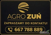 Agro Zuń kupi zboża paszowe i konsumpcyjne.