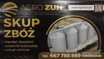 Masz rzepak do sprzedania? Sprzedaj go pewnie i bez problemów!