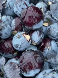 Sprzedam 30 ton czerwonej kapusty ekologicznej główki 1-3kg