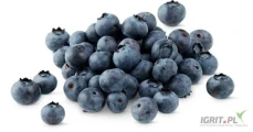 kupię borówkę na mrożenie, większe ilości,  660 660 150