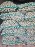 Sprzedam ziemniaki odmiany  Catania w typie sadzeniaka kaliber 30-35 ilość 1500kg