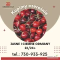Kupimy czereśnie jasne i ciemne odmiany 22/24+. Bez pęknięć, uszkodzeń i robaka. Skup czynny również w sobotę i niedzielę. 