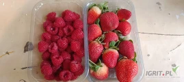Sprzedam maliny na mrożenie , przetwórstwo  pochodzące ze zwrotów marketowych  . Odbiór okolice Grójca , ewentualnie możliwa...
