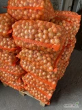 Witam sprzedam młodą zasuszoną drobną cebule żółta oraz czerwona kaliber do 50mm, żółta 10zł za worek 15kg, czerwona 6zł za...