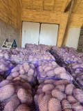 Sprzedam ziemniaki jadalne żółte i czerwone w big bagu lub workach na paletach ilości tirowe 