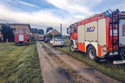 Byki zaatakowały właściciela